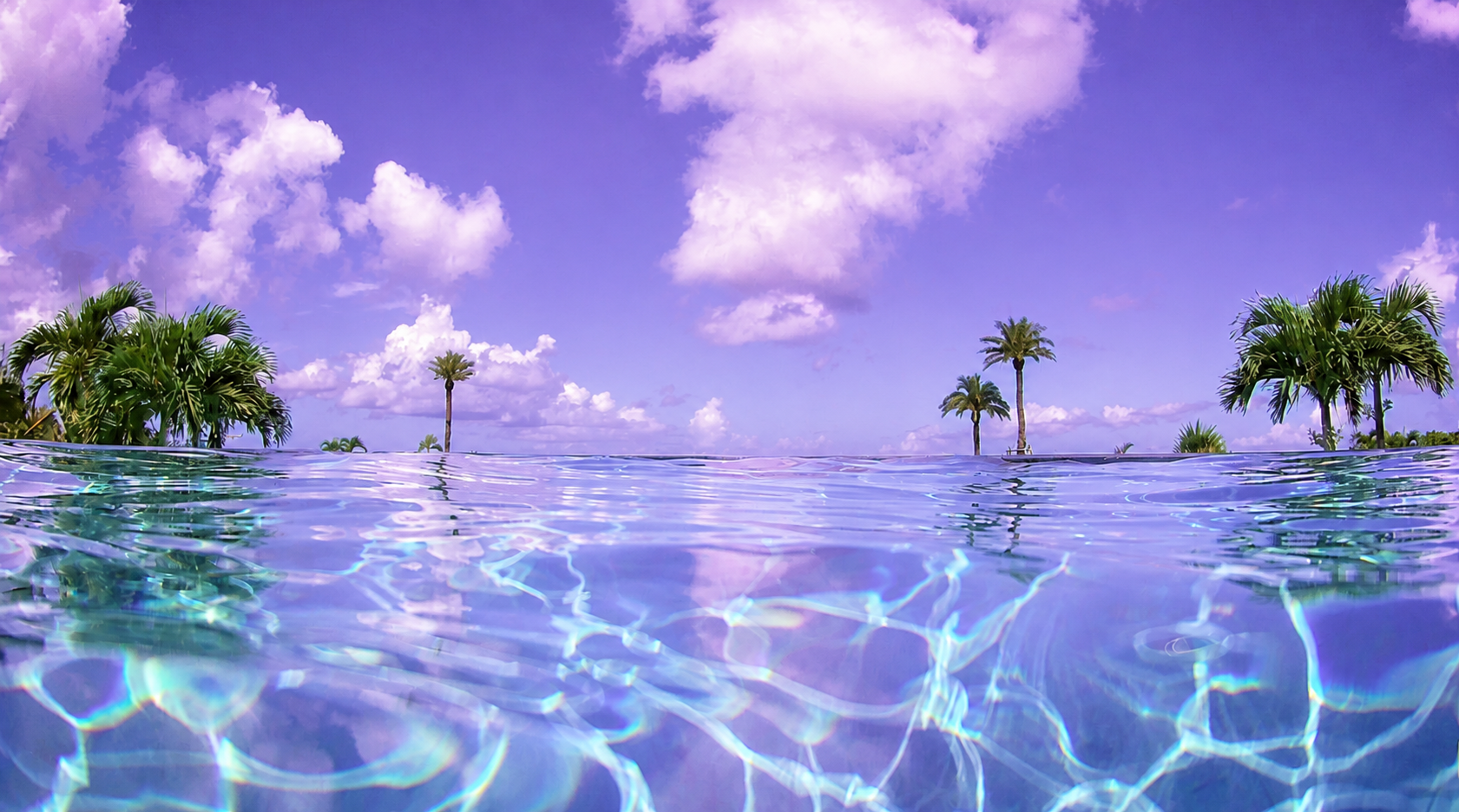 Purple infinity pool and palm trees